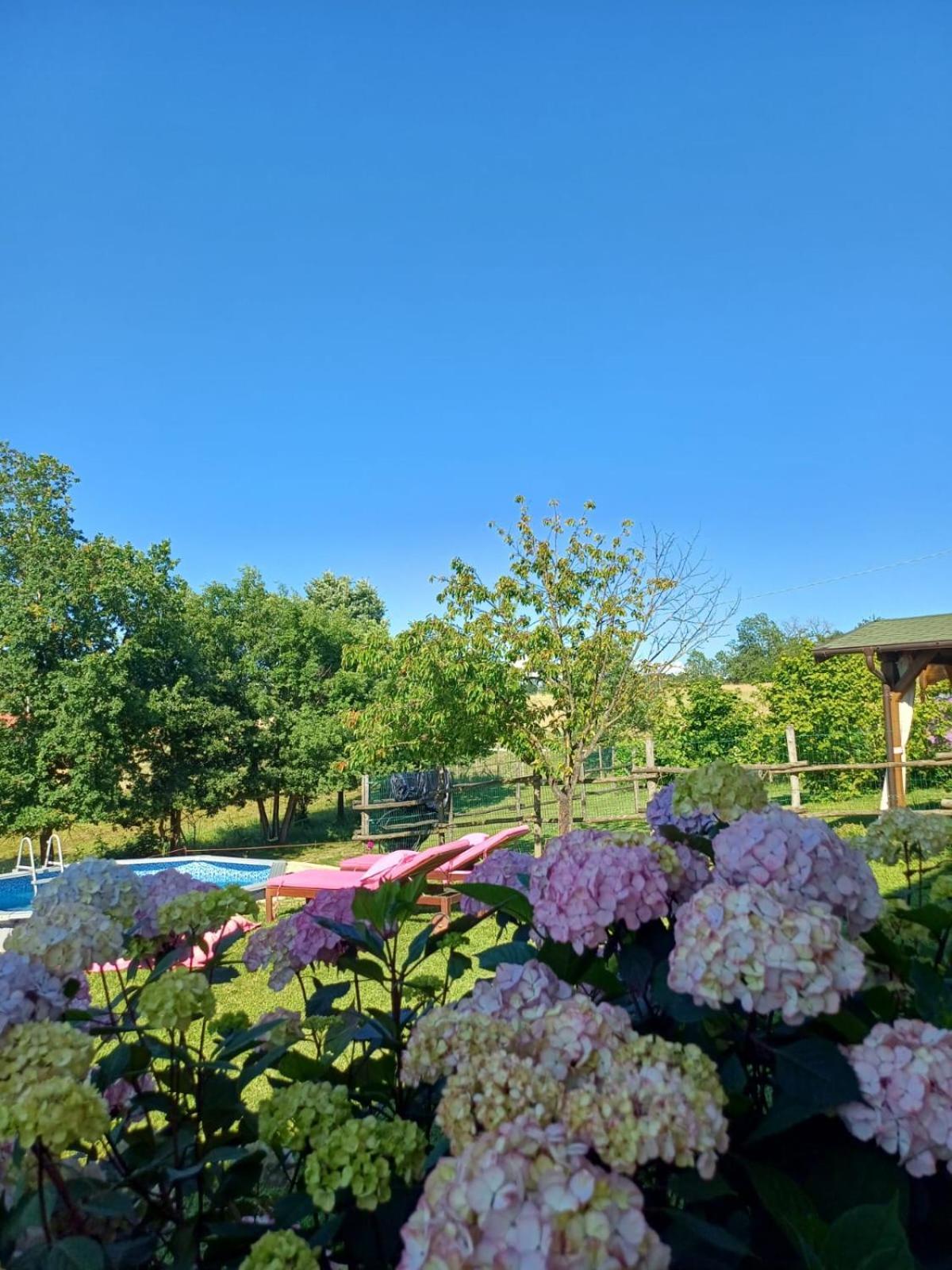 La Diligenza Bed & Breakfast Tagliolo Monferrato Екстериор снимка